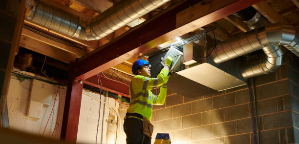 Best Professional Duct Cleaning Services  in Palmyra, IN