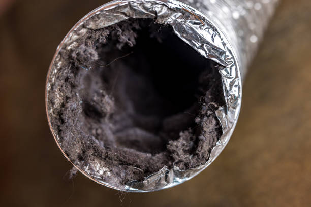Best Residential Air Duct Cleaning  in Palmyra, IN