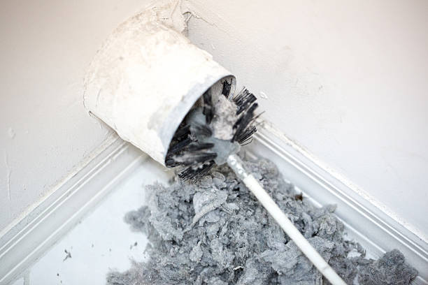Best Air Vent Cleaning Services  in Palmyra, IN